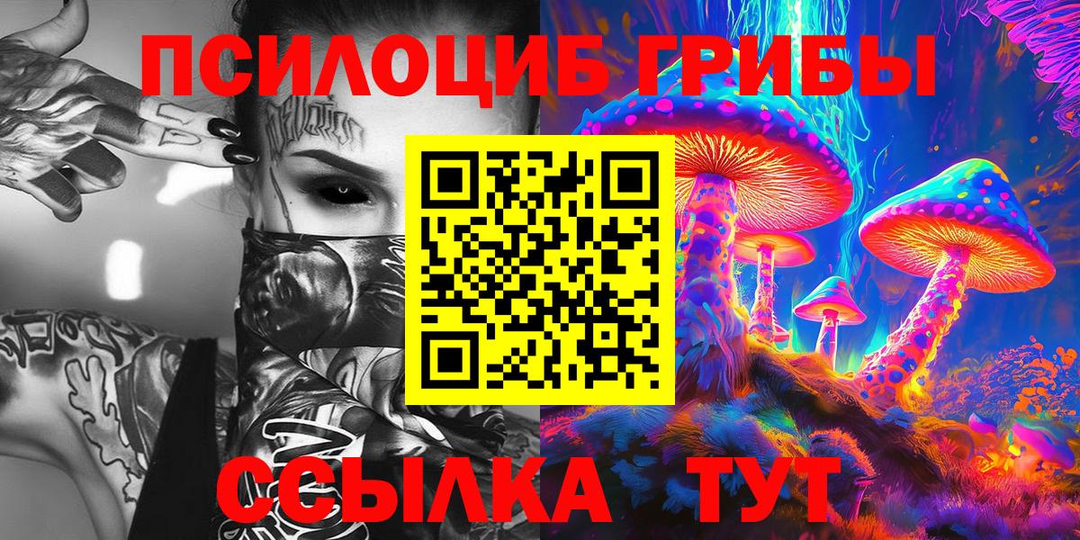 Карачаевск  где можно купить   Вход с VPN  Галлюциногенные грибы Psilocybine cubensis 